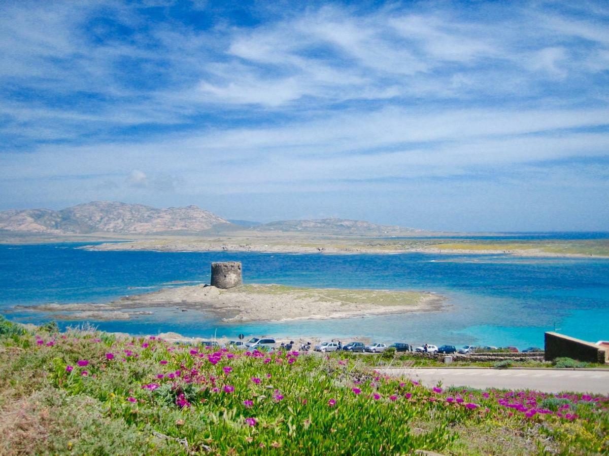 דירות Tergu Monolocale Loredana מראה חיצוני תמונה
